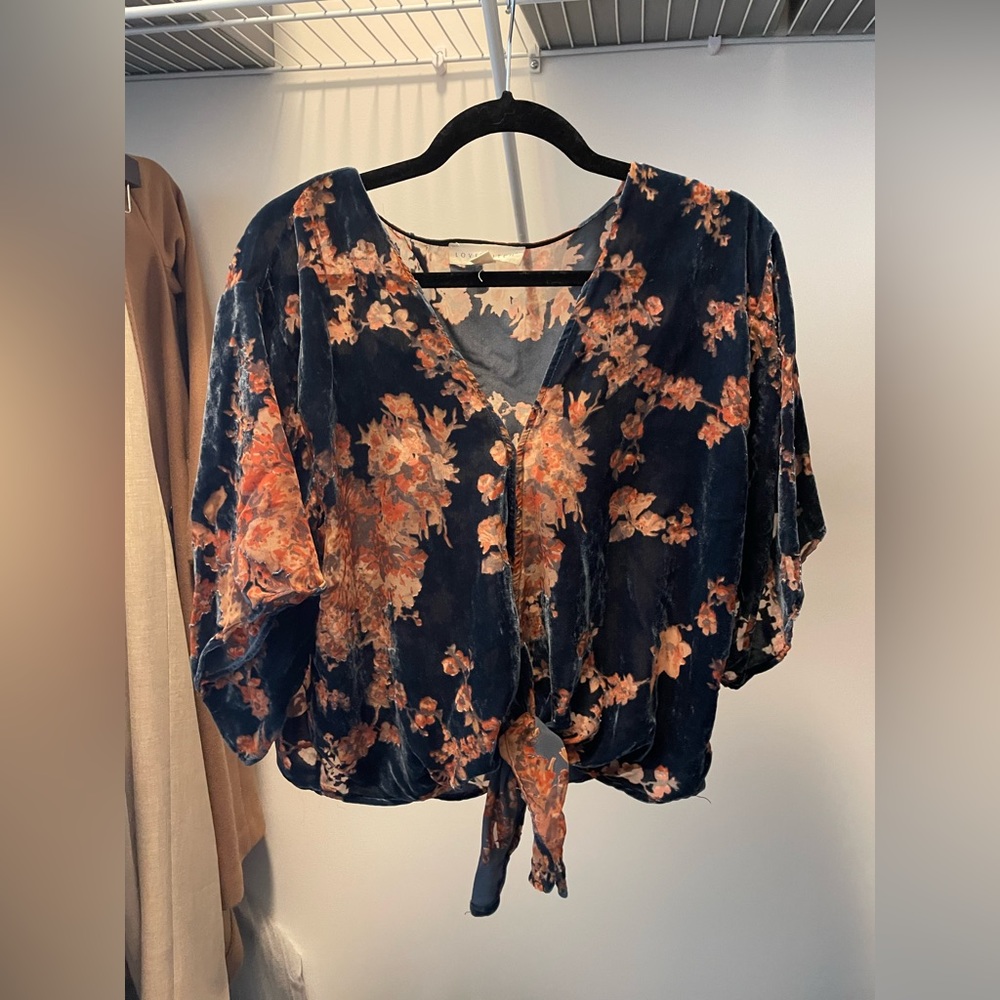 Lovestitch Sheer Velvet Blouse